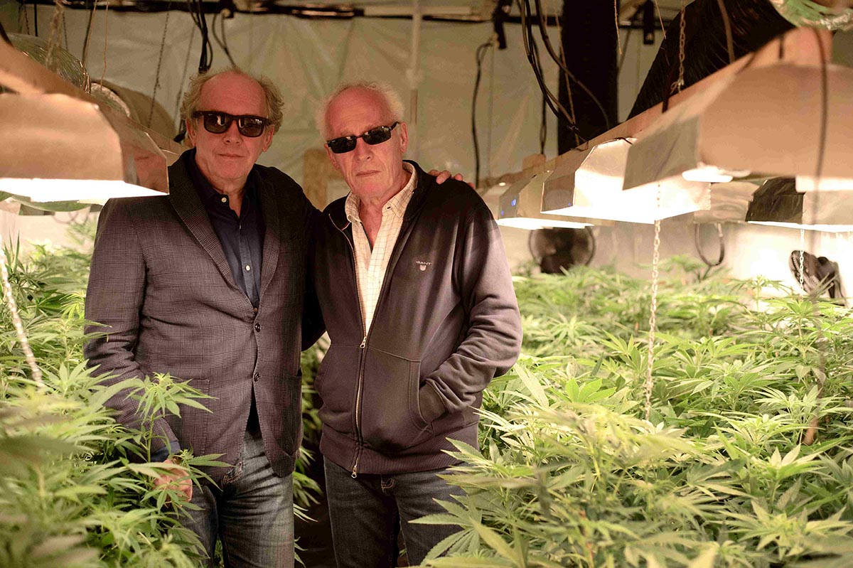 警方力挺種大麻《有你就是家》達頓兄弟爆料:黑手黨也想包場!警方力挺拍片種大麻,達頓兄弟省了2,500萬 3 20221206 NEWS 4 47