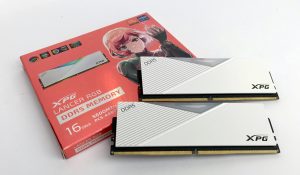 xpgddr55600 000 1