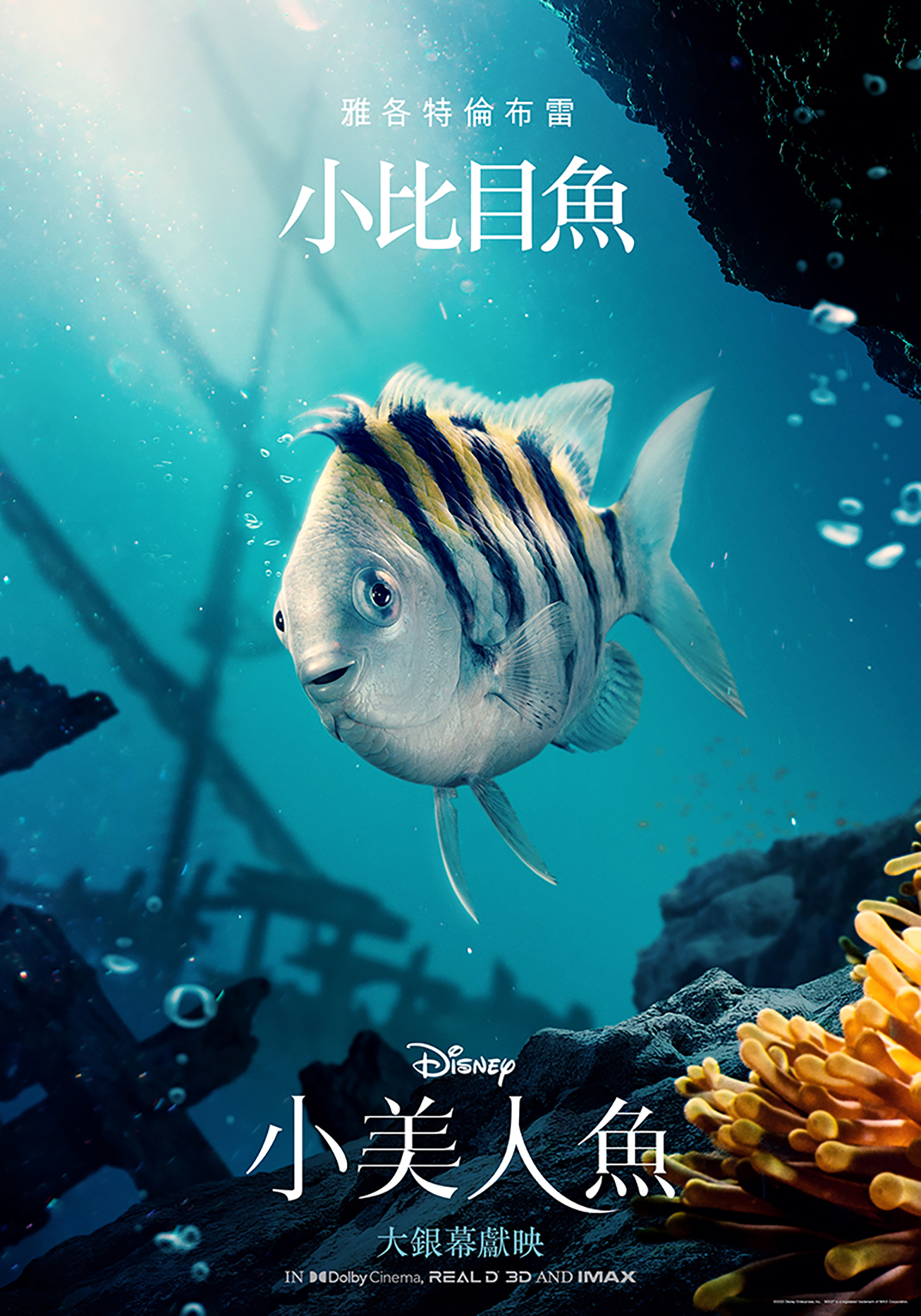 《小美人魚》最新角色海報亮相,七大角色栩栩如生登場 4 20230427 NEWS 2 4