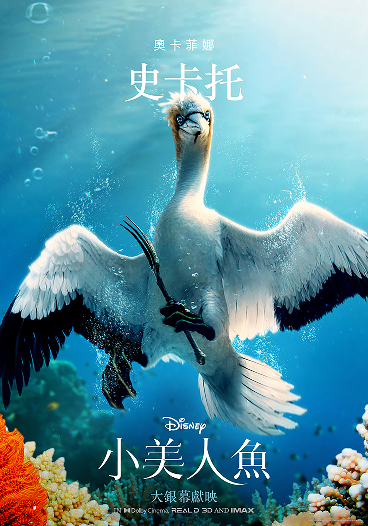 《小美人魚》最新角色海報亮相,七大角色栩栩如生登場 5 20230427 NEWS 2 5