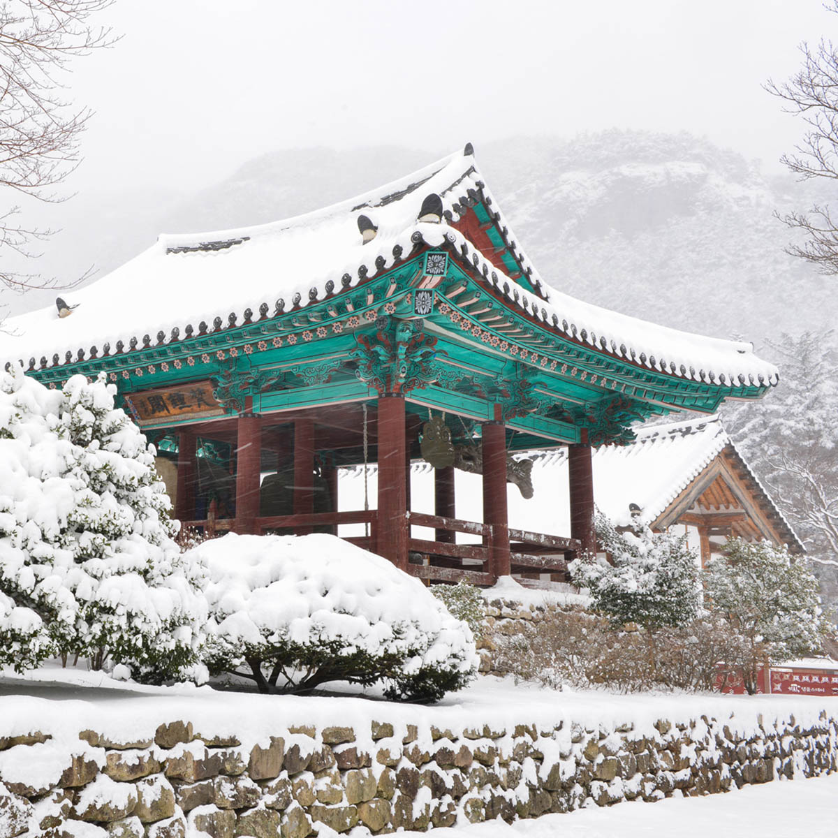 冬季賞雪趣!遠傳亞洲漫遊單日15元起、美加吃到飽一天179元起,跨洲多國一天不到23元 2 20231205 NEWS 2 9