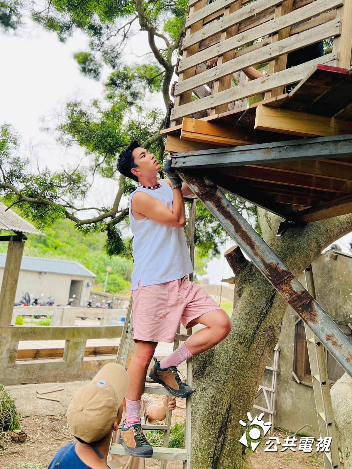《二呆流浪記之完全大人手冊》馬祖搭樹屋,朱軒洋被讚有做工潛力 2 20240203 NEWS 1 13