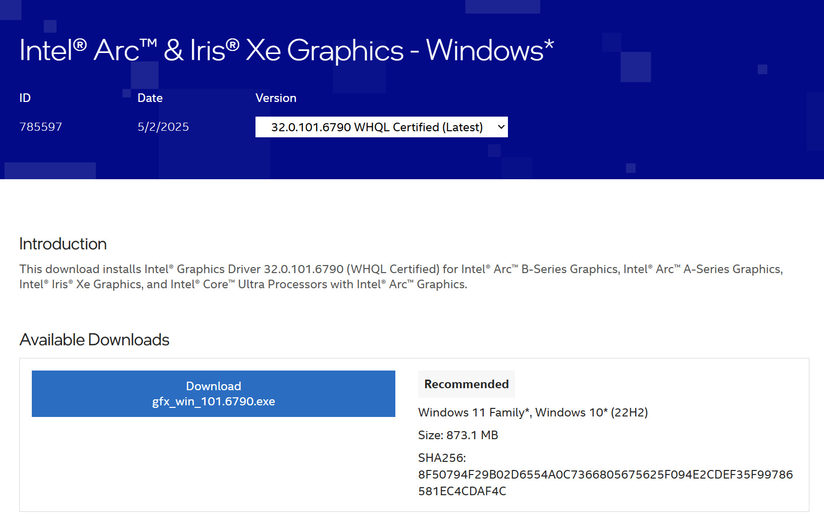 Intel Arc & Iris Xe Graphics驅動更新、v32.0.101.6790 WHQL發布,修復2款遊戲錯誤情況以及內顯相容性問題 3 20250503 intelarcdriveupdate01a