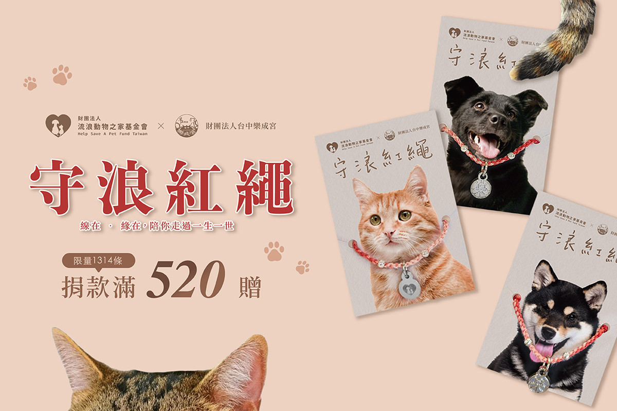 女神陪你過情人節!守浪大使 衣宸攜手守護流浪毛孩!《守浪紅繩》啟動公益守護行動! 1 20250726 NEWS 1 5
