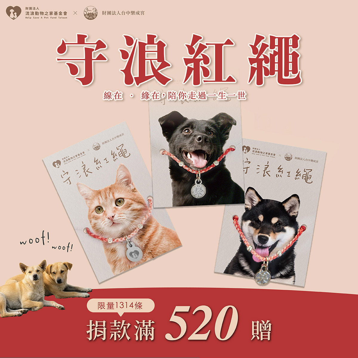女神陪你過情人節!守浪大使 衣宸攜手守護流浪毛孩!《守浪紅繩》啟動公益守護行動! 2 20250726 NEWS 1 9