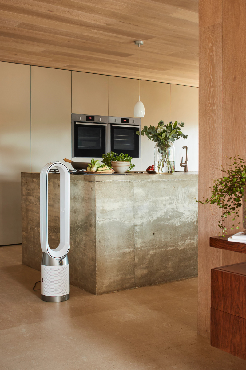 20250729 dyson01