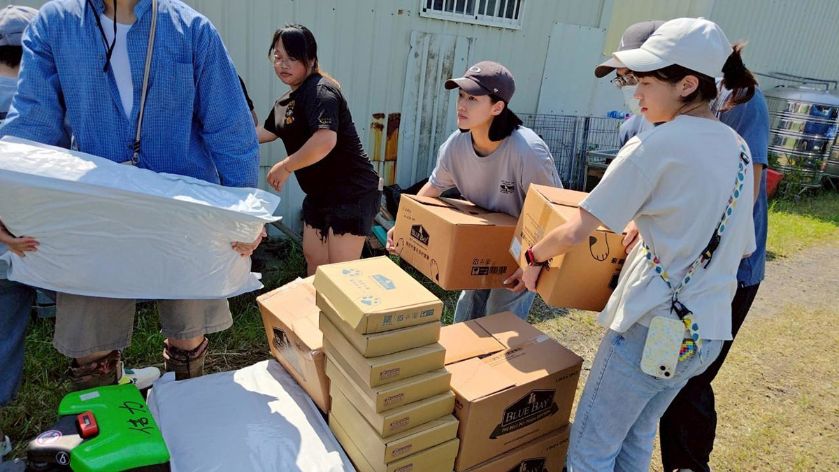 馳援中南部淹水狗園! 柴犬聯盟號召志工齊送暖 1 20250818 NEWS 1 42