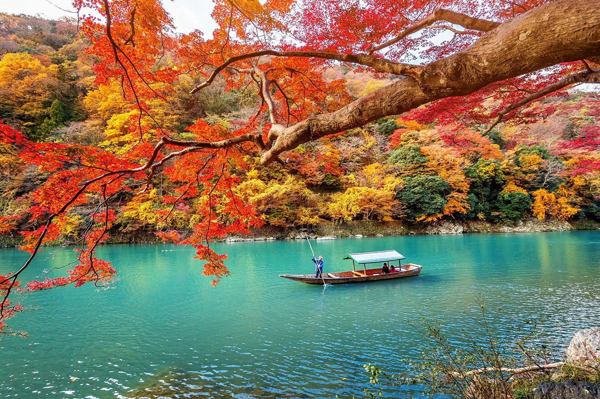 搶攻10月連假商機!集結80家旅遊品牌、最高20%現金回饋,ShopBack線上旅展限時7天、下單就抽商務艙機票 1 20250818 NEWS 1 48 複製