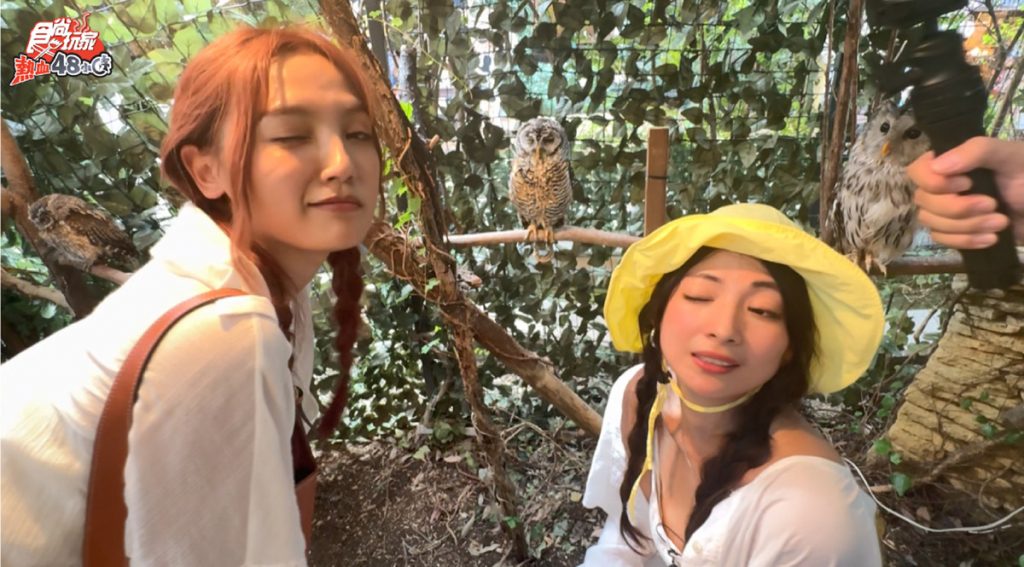 朵拉《食尚玩家》修理合掌屋,風田餐廳脫光趕泡湯 2 20250904 NEWS 5 4