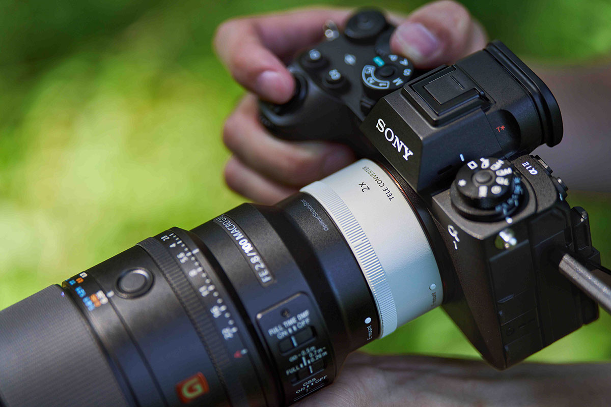 Sony全新E接環FE 100mm F2.8 GM大光圈中望遠微距鏡頭、最大放大倍率1.4X 3 20251014 NEWS3 14
