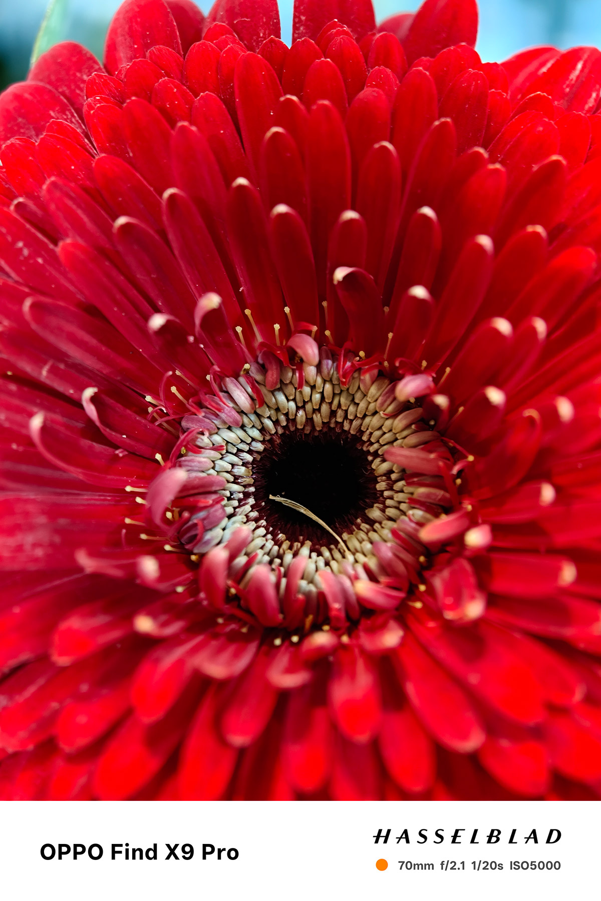 OPPO Find X9 系列影像、效能、電量再創巔峰,重新定義「旅拍神機」 5 20251030 NEWS 3 1