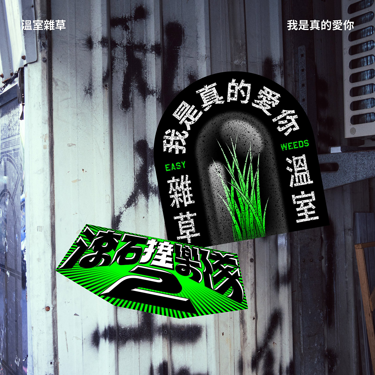KTV世界名曲〈新不了情〉傳唱超過30年!《滾石撞樂隊2》翻唱掀起世代共鳴 2 20251110 NEWS 2 7