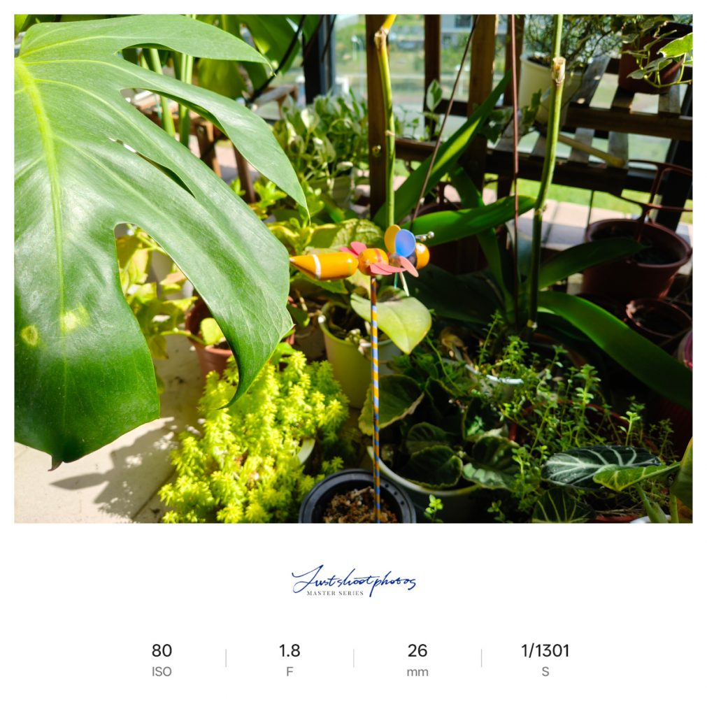 realme 15 Pro、15 5G開箱試用,三鏡好拍、美型設計,高效/平價的超值選擇! 105 realme15pro15 055 3