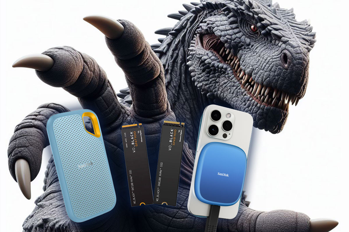 ssdchoice2025 002 V2