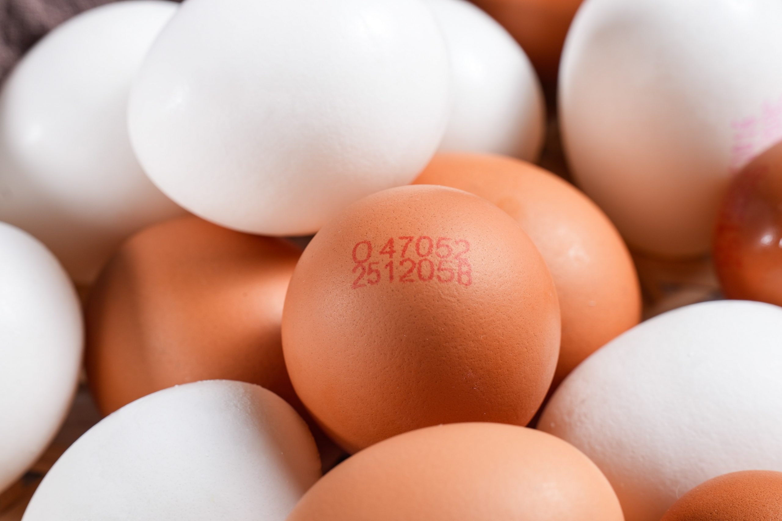 20260203 NEWS 1 91 scaled