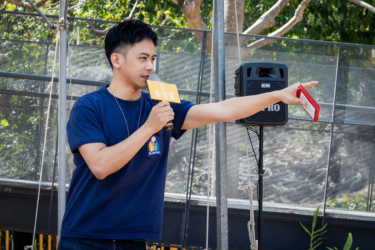 邵雨薇、王柏傑、李淳重返《動物園》上班!快閃壽山動物園!預告2/20開播喜訊!! 9 20260209 NEWS 1 31