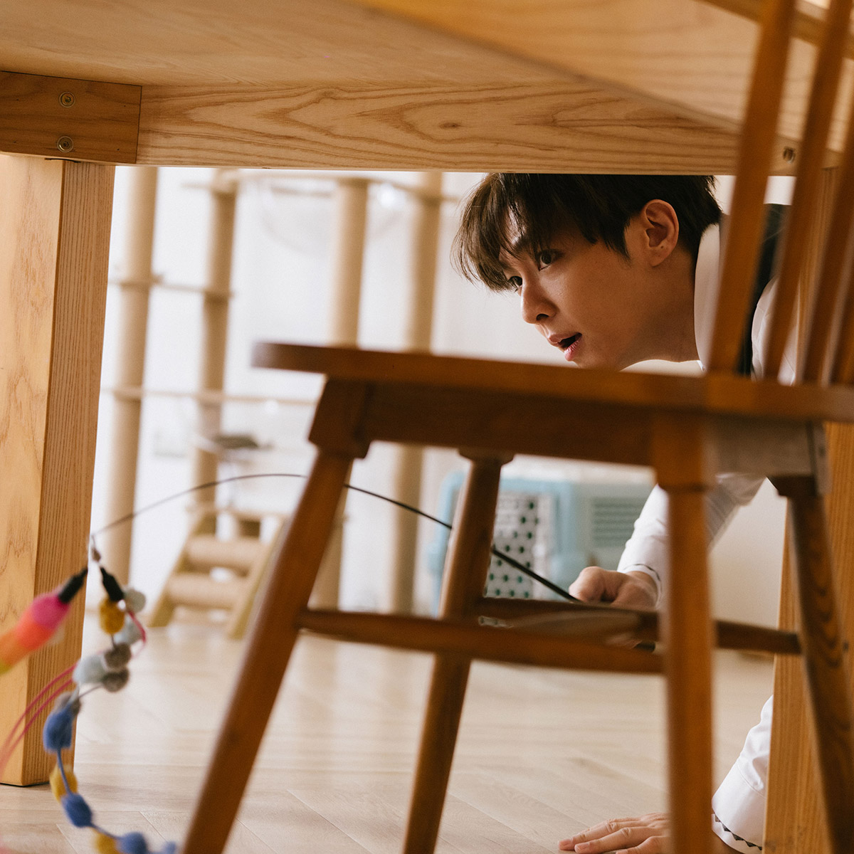 睽違三年完成第七張專輯!炎亞綸宣布《IKIGAI》推出實體版!預告是一張「會發光」的專輯 4 20260317 NEWS 2 1