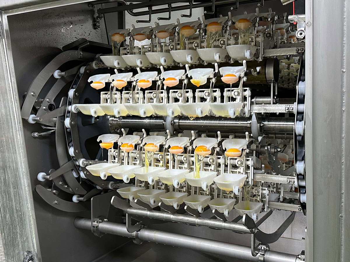 台南「高崎祭」快閃優惠,拾步町一口蛋捲限量開搶液蛋四大革命優勢,臺南蛋品助攻米其林星級美味 3 20260407 NEWS 4 8